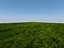 Villa 2 plus Vray grass presets