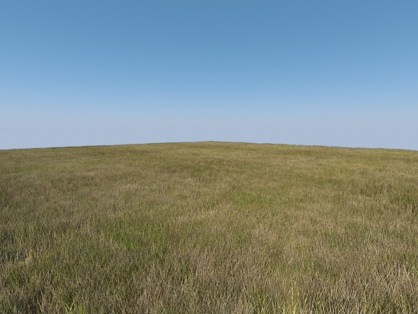 house grass realistic 3d max https://p.turbosquid.com/ts-thumb/O4/XJJwiO/LHIIXqhe/grass3_001/jpg/1420710530/1920x1080/fit_q87/86289e72b57c40870d81f796d78e247a65c8108e/grass3_001.jpg