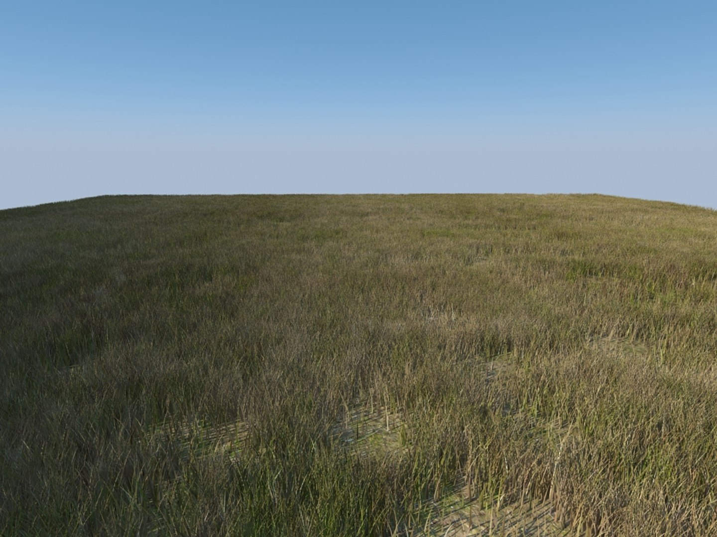 house grass realistic 3d max https://p.turbosquid.com/ts-thumb/O4/XJJwiO/NpWVejH5/grass3_003/jpg/1420710530/1920x1080/fit_q87/17c0cf1e5959e399aa78749acb1a124df32b35a9/grass3_003.jpg