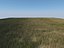 Villa 2 plus Vray grass presets