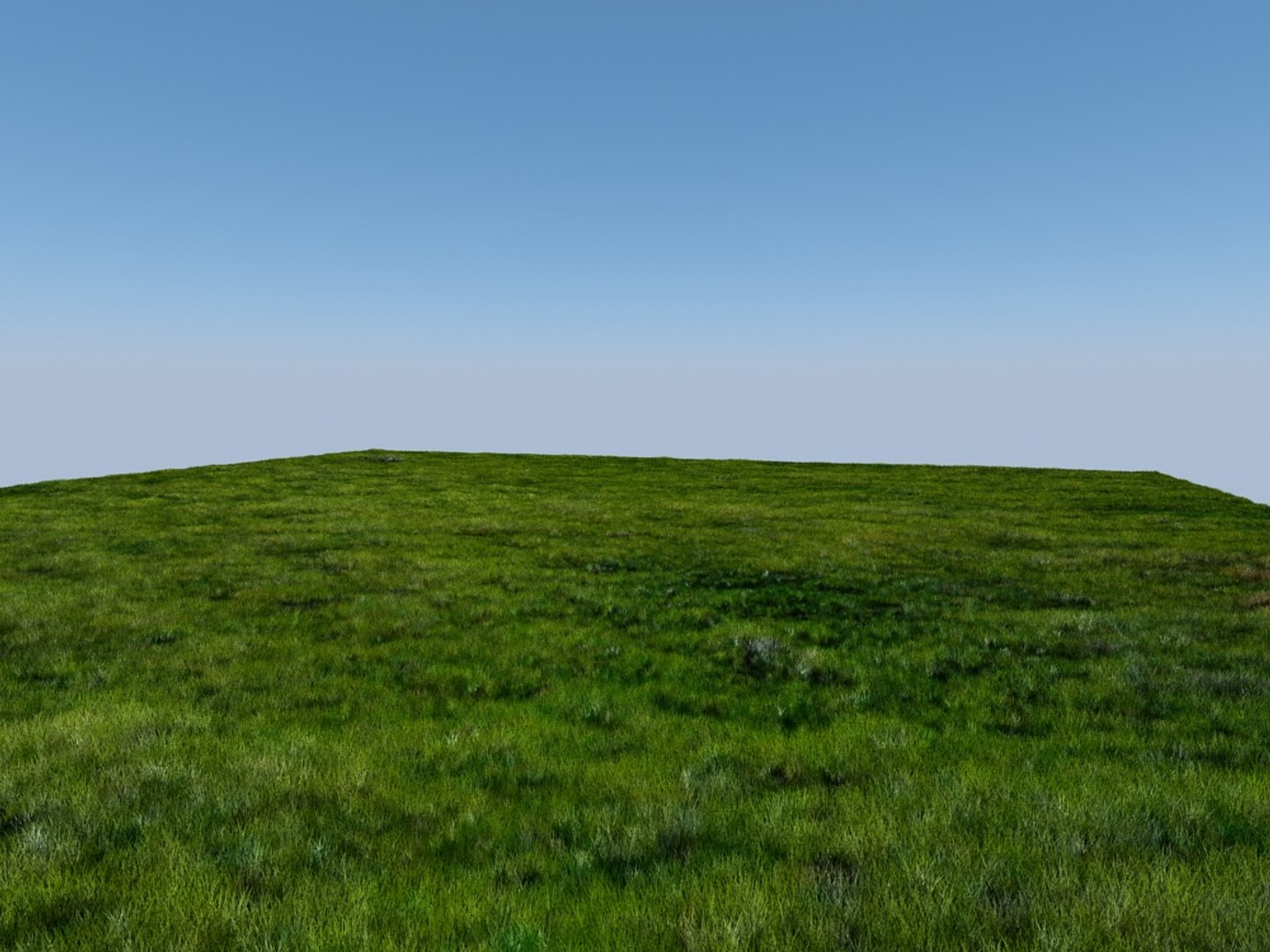 house grass realistic 3d max https://p.turbosquid.com/ts-thumb/O4/XJJwiO/XS50DwqF/grass4_004/jpg/1420710531/1920x1080/fit_q87/501a29ecdc9f543acdf2b906db2859f055efab1a/grass4_004.jpg
