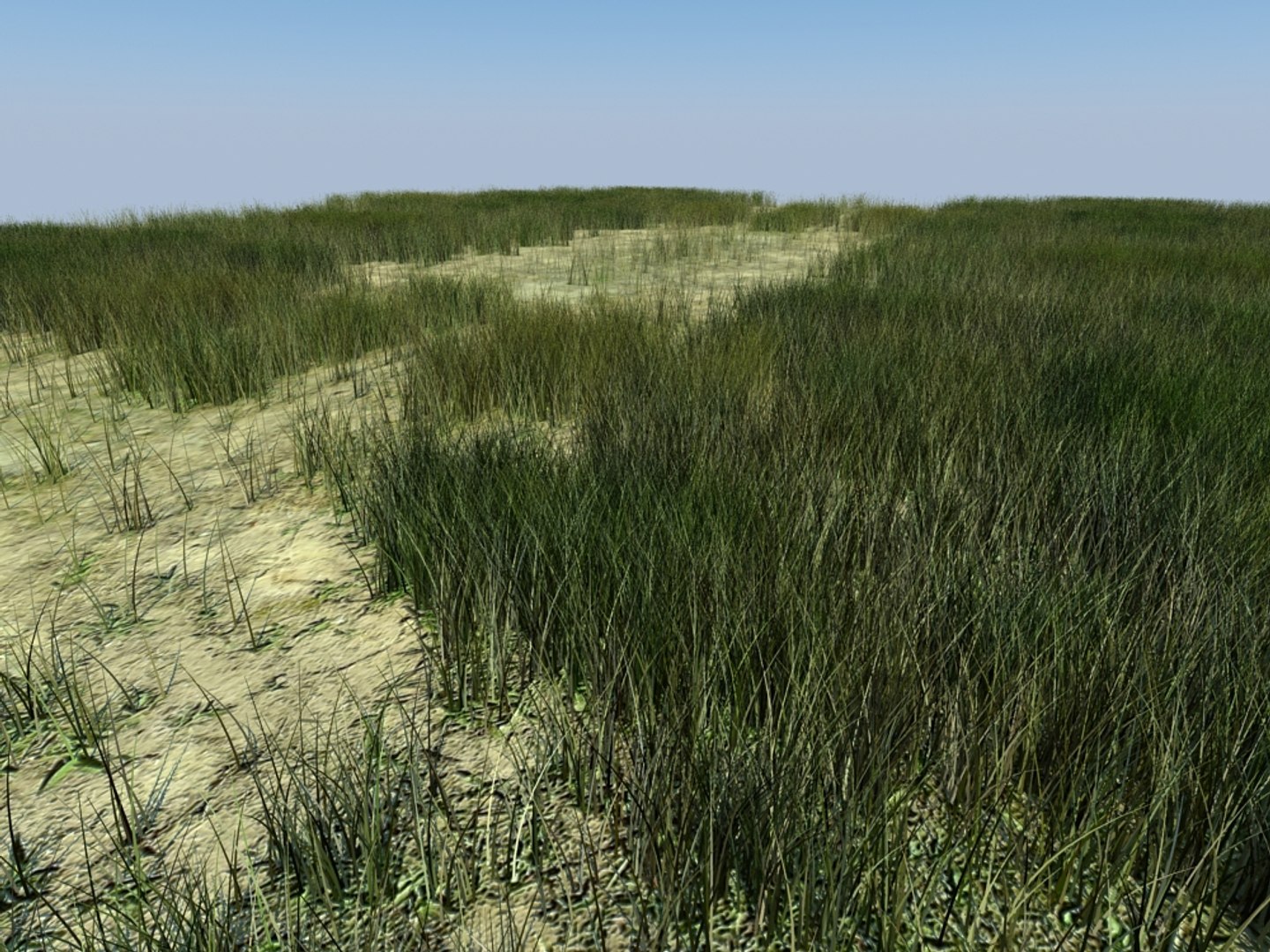 house grass realistic 3d max https://p.turbosquid.com/ts-thumb/O4/XJJwiO/Y98dAPqs/grass5_002/jpg/1420710531/1920x1080/fit_q87/20e02e4c456d3f69fa90475b29e249618aad405c/grass5_002.jpg