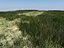 Villa 2 plus Vray grass presets