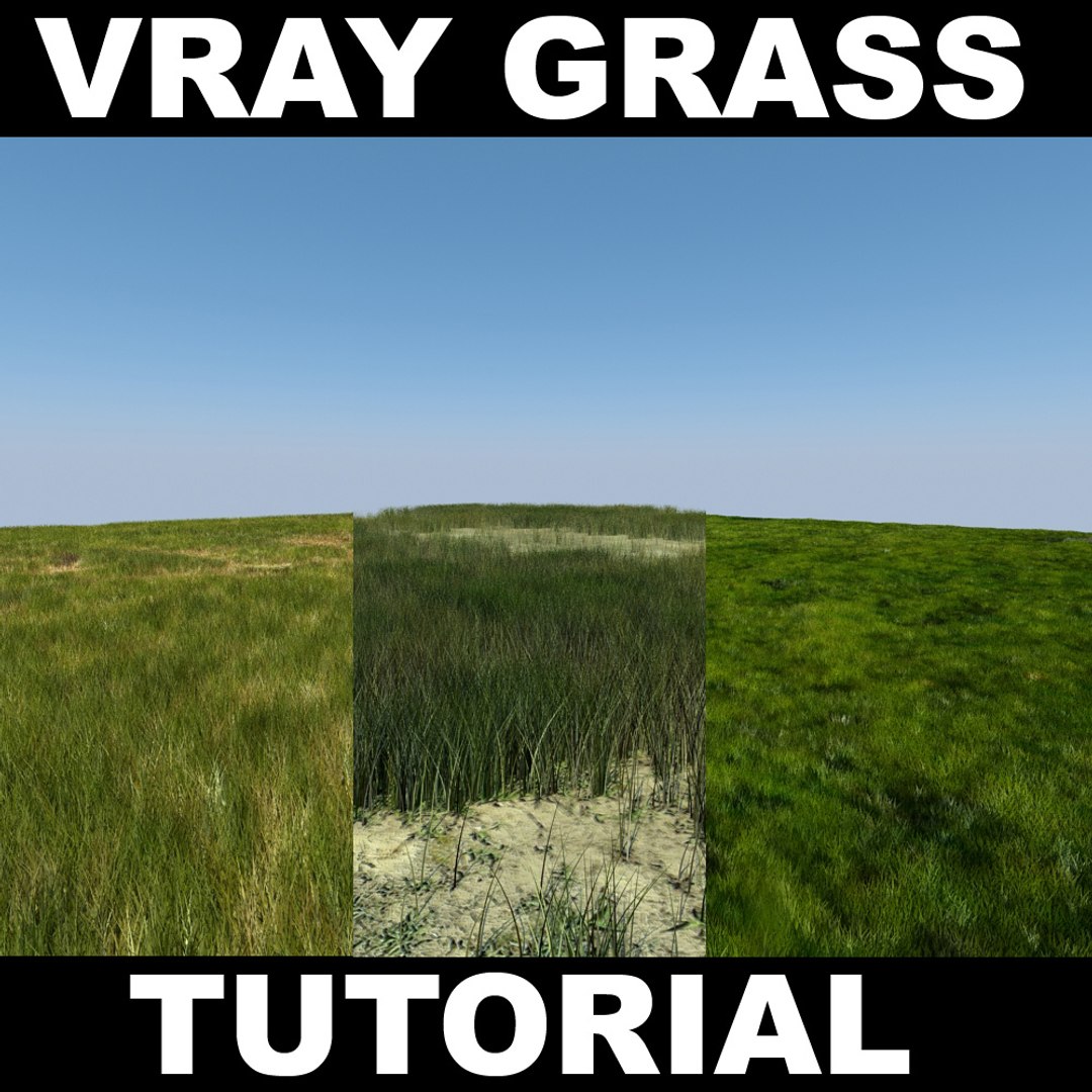 house grass realistic 3d max https://p.turbosquid.com/ts-thumb/O4/XJJwiO/cScBHJYk/grass_screen1/jpg/1420710530/1920x1080/fit_q87/8fc36da75b07456d6bd0f3303e6d818fdb710843/grass_screen1.jpg