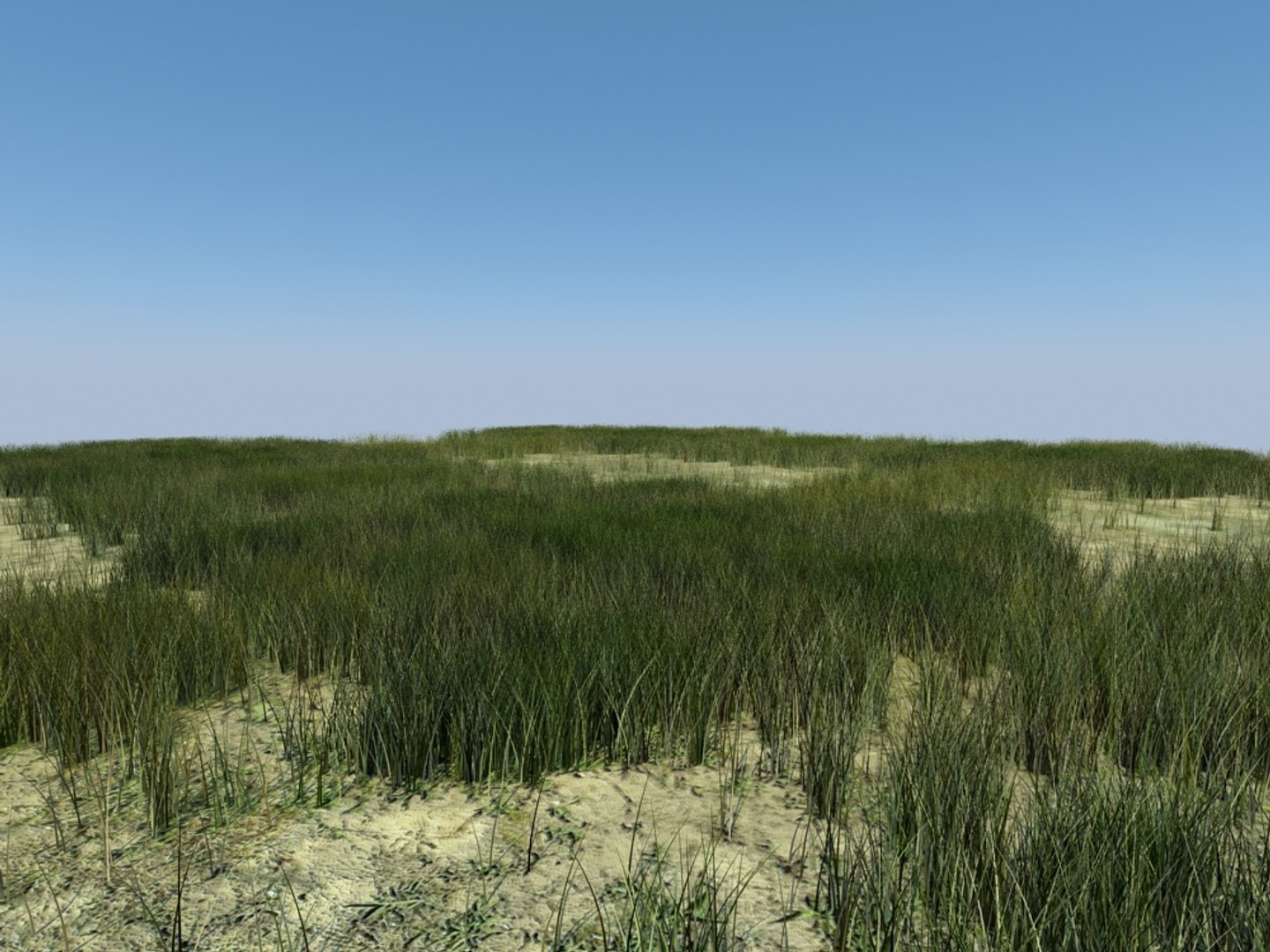house grass realistic 3d max https://p.turbosquid.com/ts-thumb/O4/XJJwiO/eBvClaLF/grass5_001/jpg/1420710531/1920x1080/fit_q87/4f2c36f5631e48f619df54fdf7038d70eaafddb0/grass5_001.jpg
