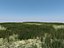Villa 2 plus Vray grass presets