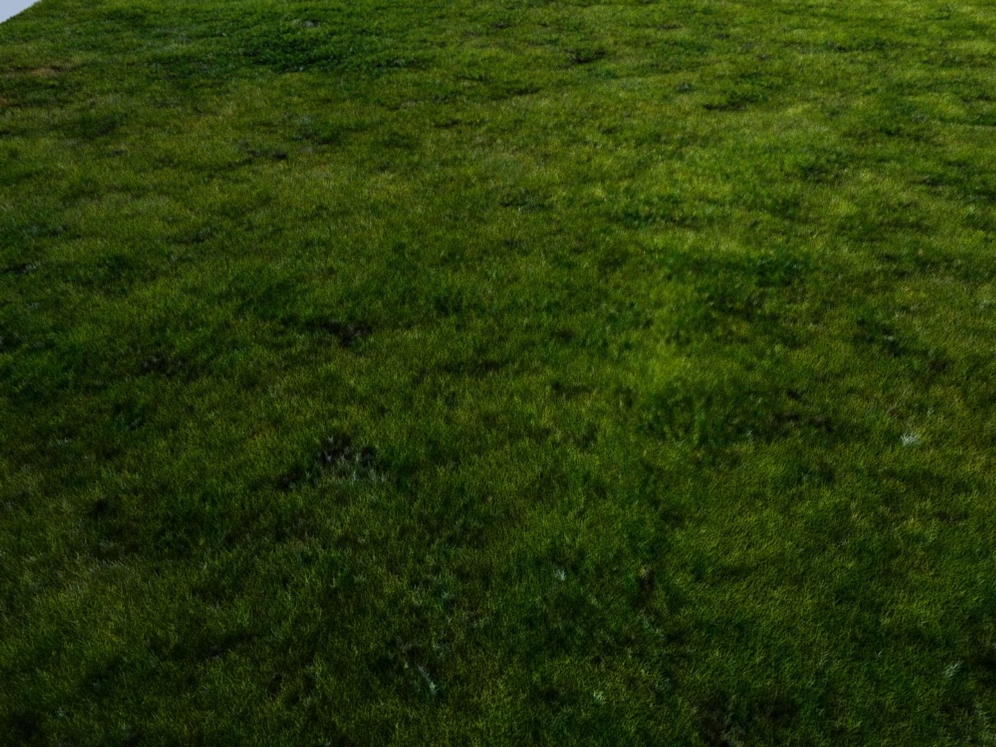 house grass realistic 3d max https://p.turbosquid.com/ts-thumb/O4/XJJwiO/gRDGI4wi/grass4_002/jpg/1420710531/1920x1080/fit_q87/243803167683935889fae3122202876be8f9d030/grass4_002.jpg