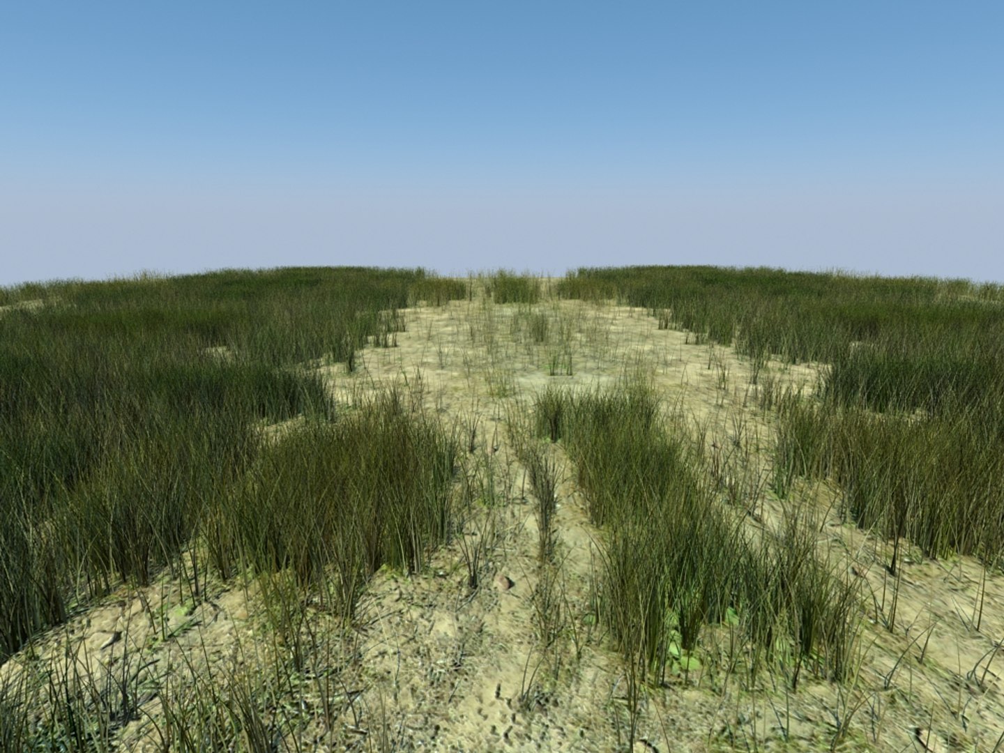house grass realistic 3d max https://p.turbosquid.com/ts-thumb/O4/XJJwiO/iASs34cb/grass5_003/jpg/1420710531/1920x1080/fit_q87/a5d396cd37693396ae576307655c27416050cf64/grass5_003.jpg