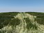 Villa 2 plus Vray grass presets