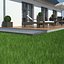 Villa 2 plus Vray grass presets