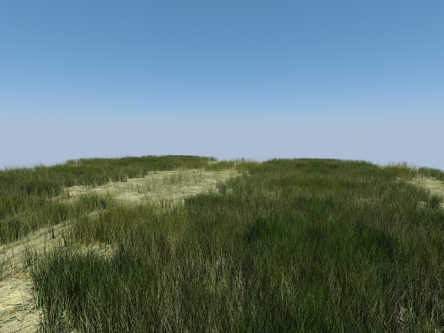 house grass realistic 3d max https://p.turbosquid.com/ts-thumb/O4/XJJwiO/uFIgQTmV/grass5_004/jpg/1420710531/1920x1080/fit_q87/cdad090898e345b743cf934d57c042ae2533f342/grass5_004.jpg