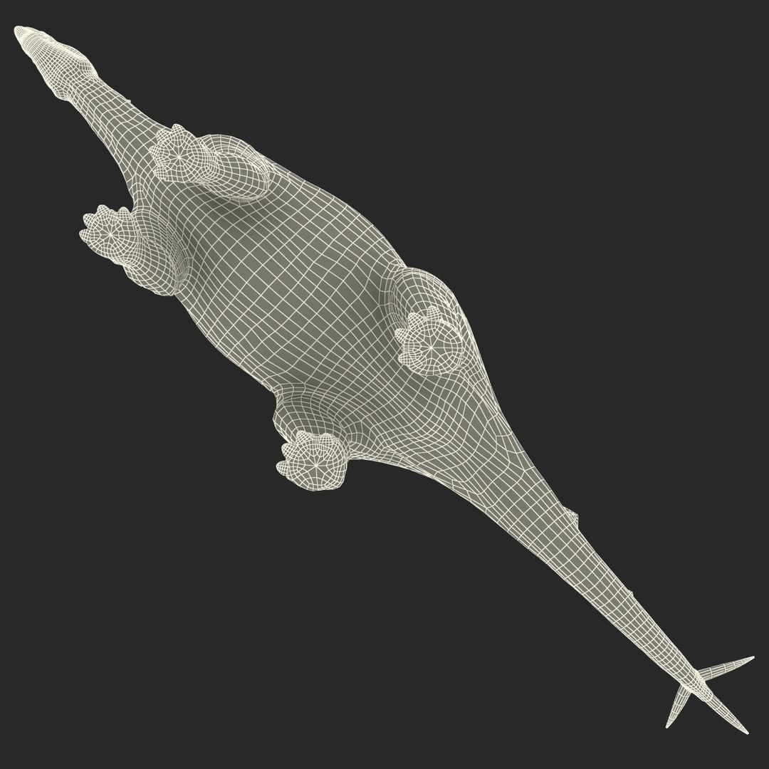 stegosaurus rigged 3d model https://p.turbosquid.com/ts-thumb/O4/ZyOKof/0QXIQsah/stegosaurusrigged_380/jpg/1407185237/1920x1080/fit_q87/803c0307348d4d2c53ef10a3f26f43b53cc203bf/stegosaurusrigged_380.jpg