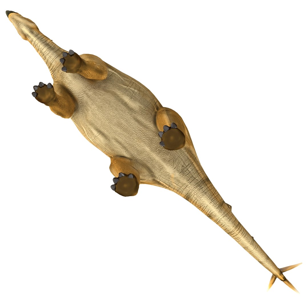stegosaurus rigged 3d model https://p.turbosquid.com/ts-thumb/O4/ZyOKof/41H4Bf6V/stegosaurusrigged_368/jpg/1407185159/1920x1080/fit_q87/afca010d23a07a1f67cbcee4664785d518bf2237/stegosaurusrigged_368.jpg