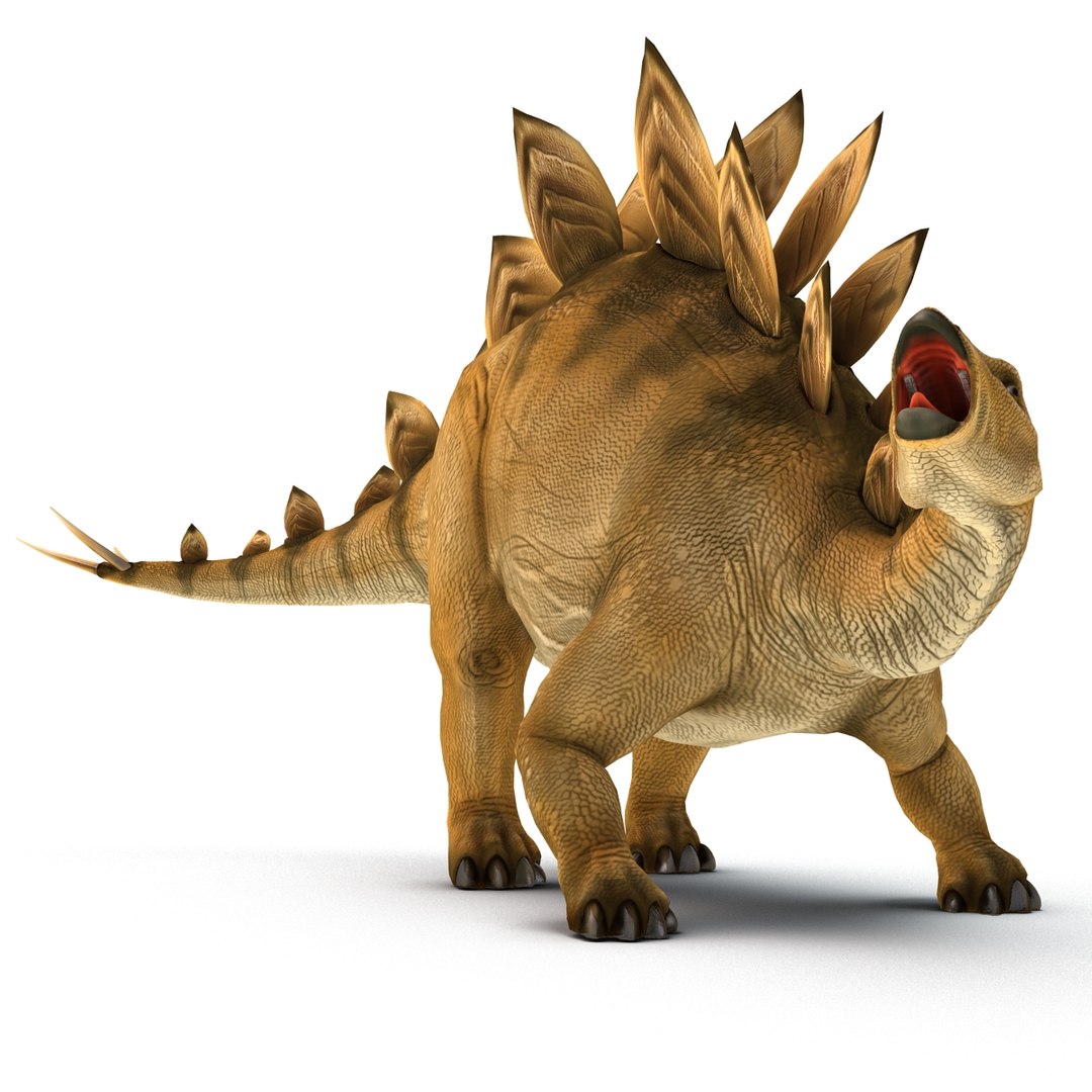 stegosaurus rigged 3d model https://p.turbosquid.com/ts-thumb/O4/ZyOKof/6pFPdKQA/stegosaurusrigged_394/jpg/1407185224/1920x1080/fit_q87/c4ff70eaecdbd5e2f8b70378e71aa41068208f37/stegosaurusrigged_394.jpg
