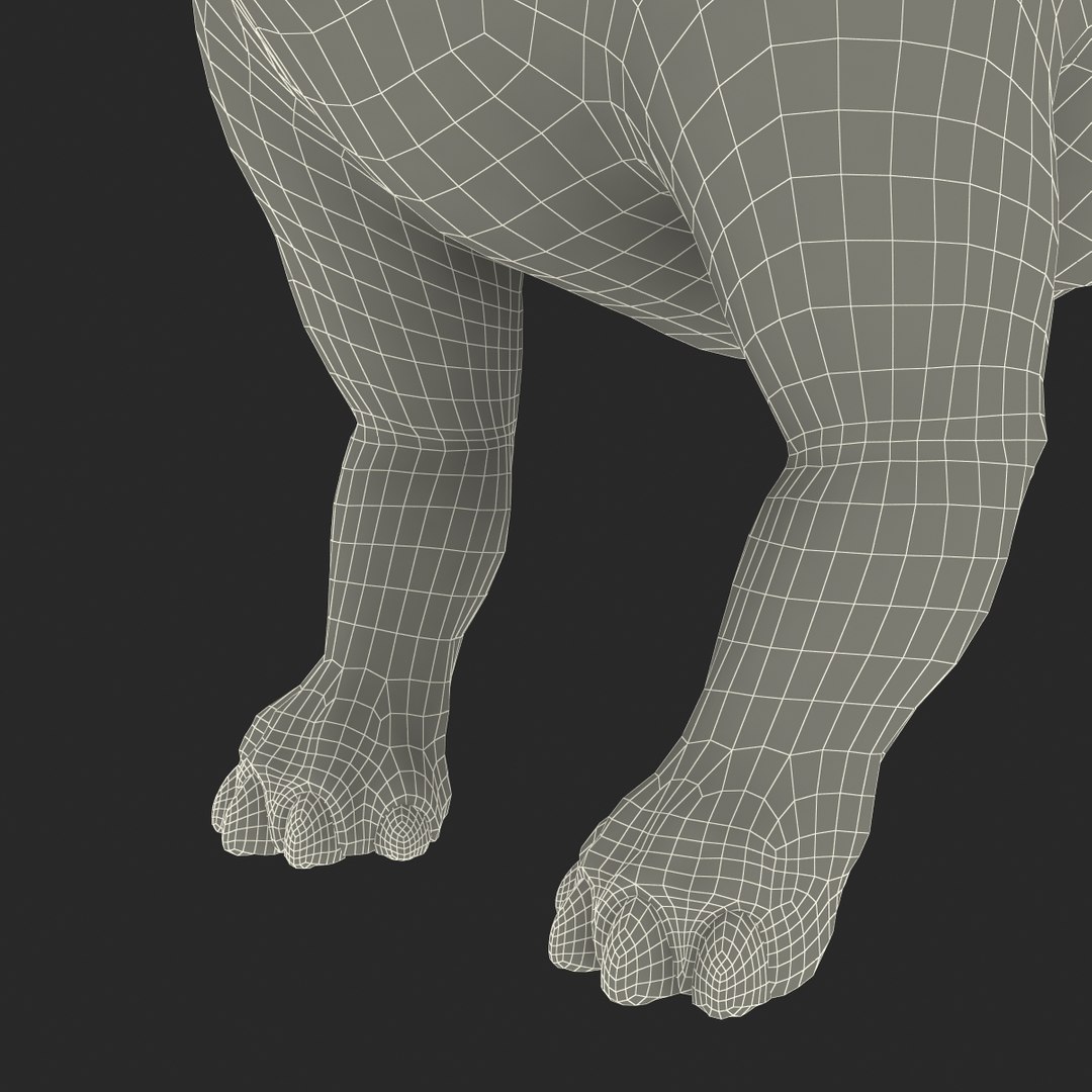 stegosaurus rigged 3d model https://p.turbosquid.com/ts-thumb/O4/ZyOKof/7CuZxFH0/stegosaurusrigged_385/jpg/1407185246/1920x1080/fit_q87/8d0773171f889b10d1affa1a75f0dc7b8a361932/stegosaurusrigged_385.jpg