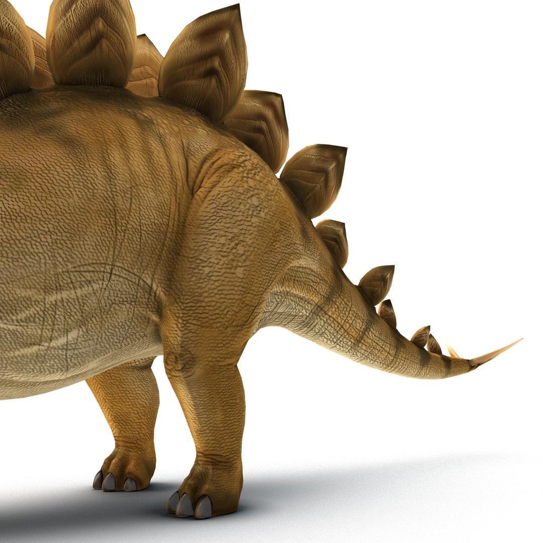 Stegosaurus Rigged 3d Model