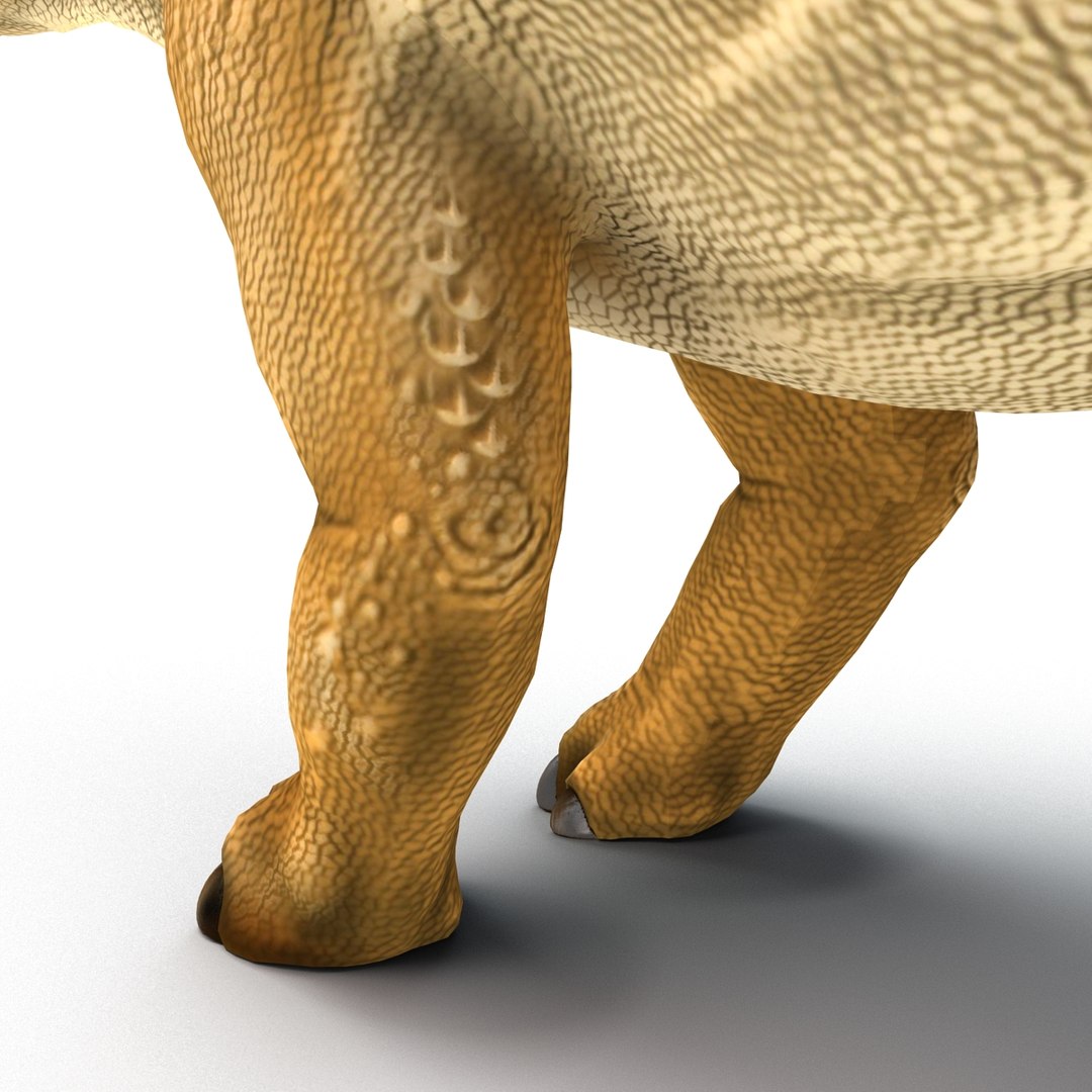 stegosaurus rigged 3d model https://p.turbosquid.com/ts-thumb/O4/ZyOKof/CBDfVbRj/stegosaurusrigged_374/jpg/1407185227/1920x1080/fit_q87/b3d57157516e5ecd0de601bd0278dab91db37a40/stegosaurusrigged_374.jpg