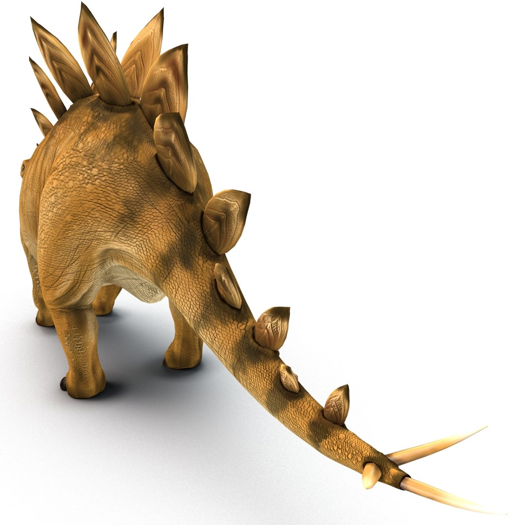 stegosaurus rigged 3d model https://p.turbosquid.com/ts-thumb/O4/ZyOKof/ClhpSd5J/stegosaurusrigged_371/jpg/1407185164/1920x1080/fit_q87/1e10456cc3738fd094f257feaf9c685972b9de60/stegosaurusrigged_371.jpg