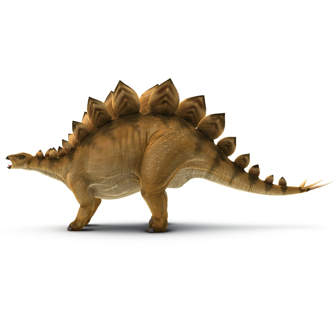 stegosaurus rigged 3d model https://p.turbosquid.com/ts-thumb/O4/ZyOKof/Dy1SyvsS/stegosaurusrigged_361/jpg/1407185207/1920x1080/fit_q87/fdb7195ed918f2fd3374040f02a9f5d92cab4ab0/stegosaurusrigged_361.jpg