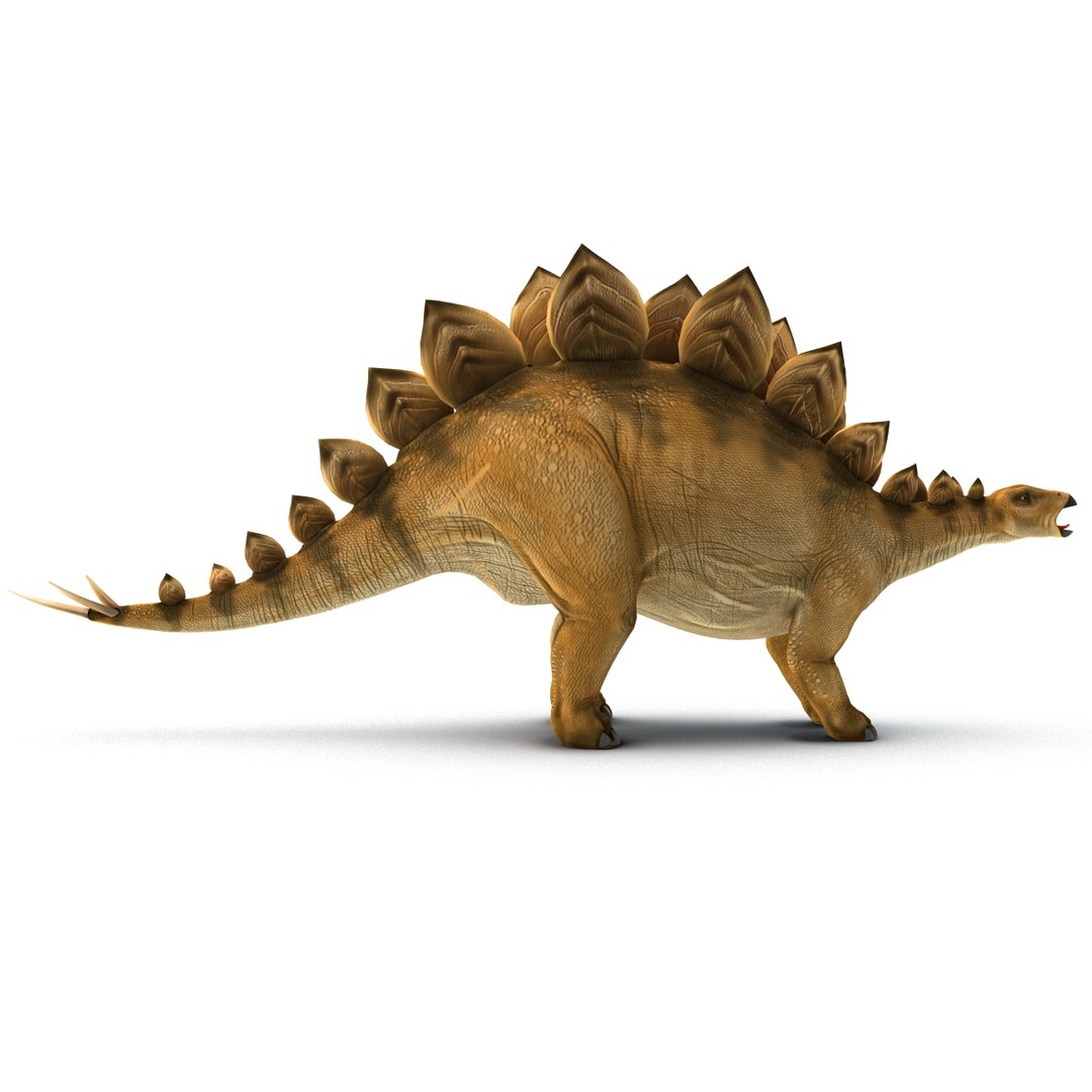stegosaurus rigged 3d model https://p.turbosquid.com/ts-thumb/O4/ZyOKof/GRhCFHJ3/stegosaurusrigged_362/jpg/1407185171/1920x1080/fit_q87/5daaf019cb1488a9b8cfc130381869e2a4054bd0/stegosaurusrigged_362.jpg