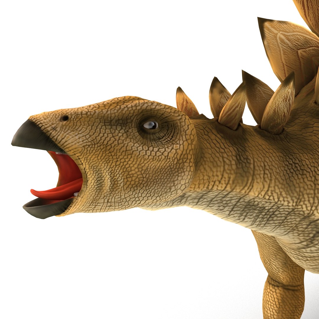 Stegosaurus Rigged 3d Model