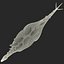 Stegosaurus Rigged