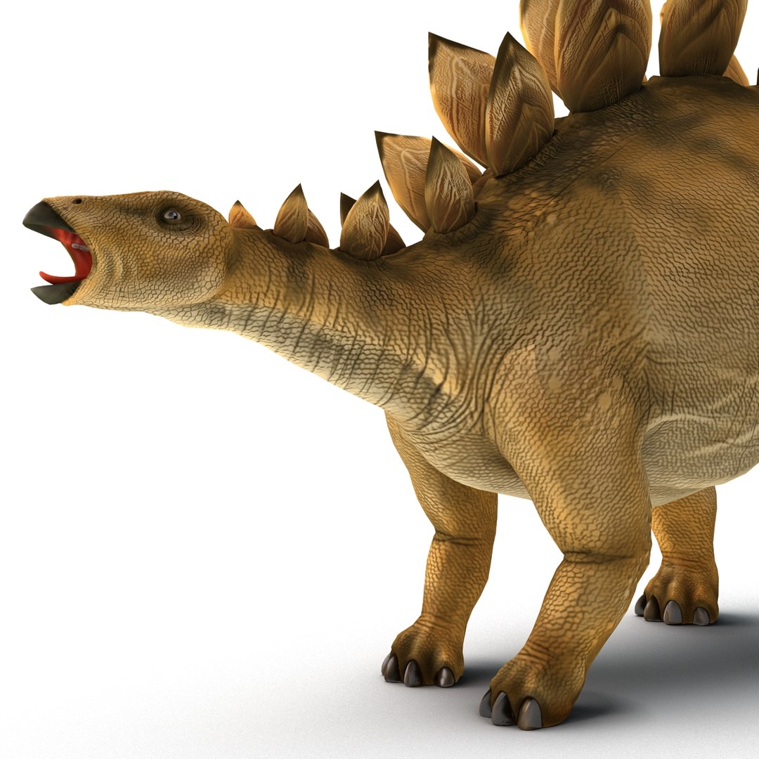 Stegosaurus Rigged 3d Model