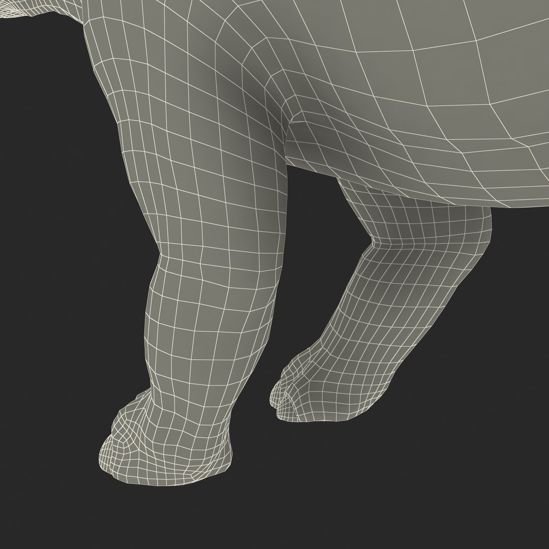 stegosaurus rigged 3d model https://p.turbosquid.com/ts-thumb/O4/ZyOKof/XoOth50K/stegosaurusrigged_386/jpg/1407185189/1920x1080/fit_q87/d6eaf327176f3be53832003f81a6077dfa00ebf8/stegosaurusrigged_386.jpg