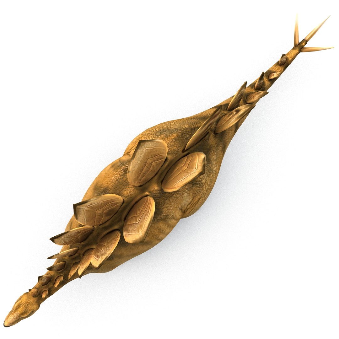 stegosaurus rigged 3d model https://p.turbosquid.com/ts-thumb/O4/ZyOKof/a0KWmlev/stegosaurusrigged_367/jpg/1407185179/1920x1080/fit_q87/a70041c14f7c5d65774d822cdb25a791f83683dc/stegosaurusrigged_367.jpg