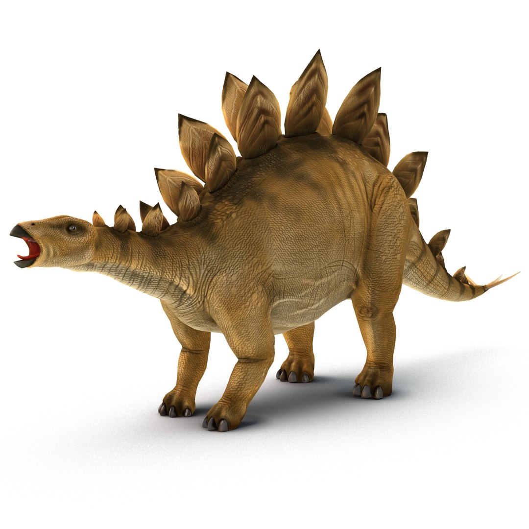Stegosaurus Rigged 3d Model