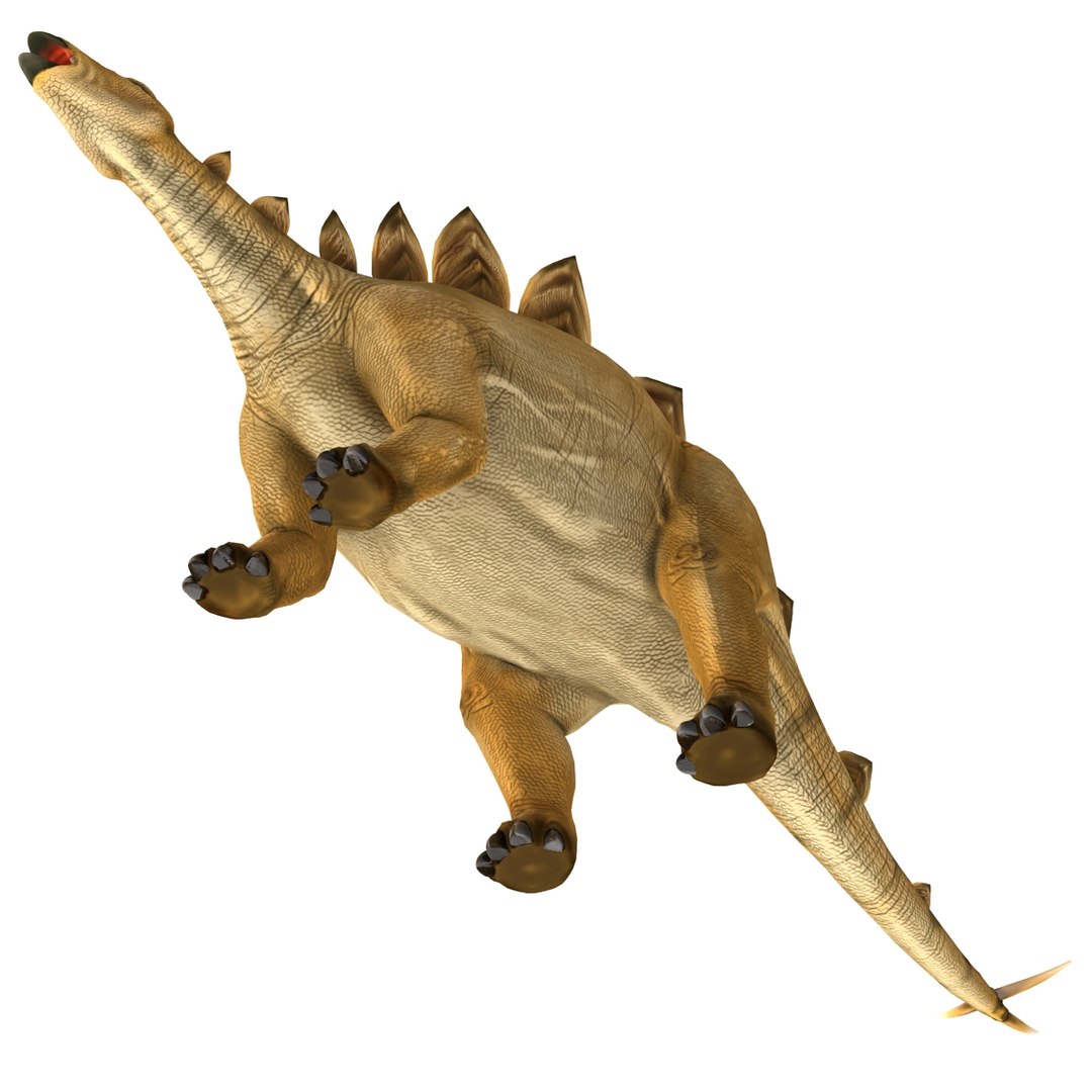 stegosaurus rigged 3d model https://p.turbosquid.com/ts-thumb/O4/ZyOKof/kVybmDAY/stegosaurusrigged_399/jpg/1407185269/1920x1080/fit_q87/a9583395040345fa19f469f3ca6193458ddbce1a/stegosaurusrigged_399.jpg