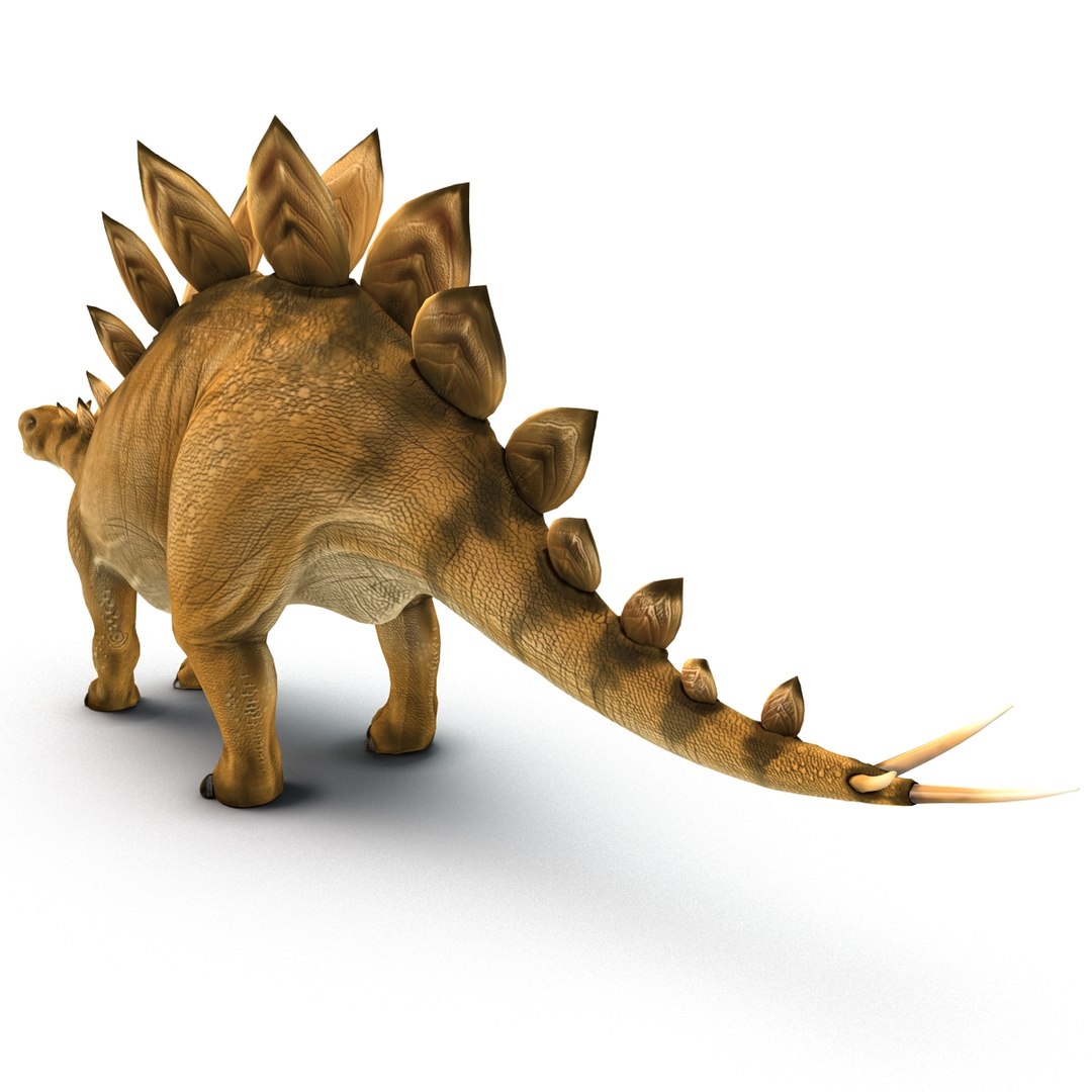Stegosaurus Rigged 3d Model