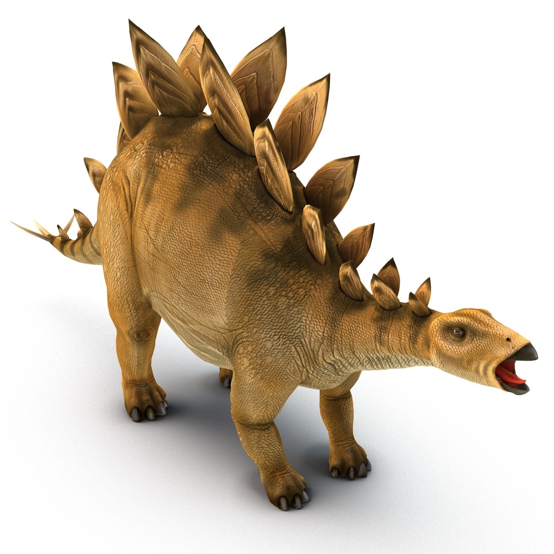 stegosaurus rigged 3d model https://p.turbosquid.com/ts-thumb/O4/ZyOKof/nfbN17ky/stegosaurusrigged_401/jpg/1407185236/1920x1080/fit_q87/c17dcd7d3d946d49cb8d74931861ec914d7c4a21/stegosaurusrigged_401.jpg