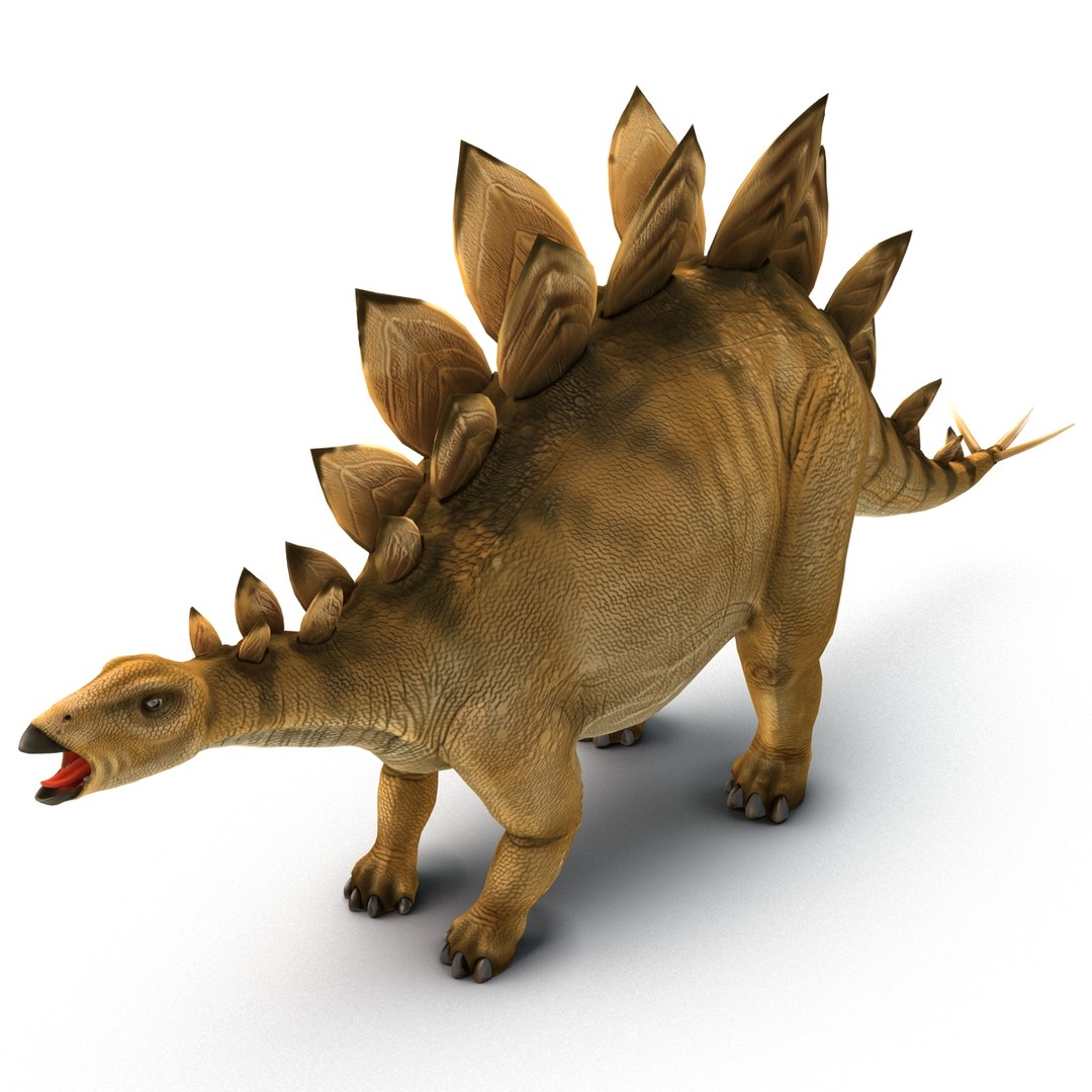 Stegosaurus Rigged 3d Model