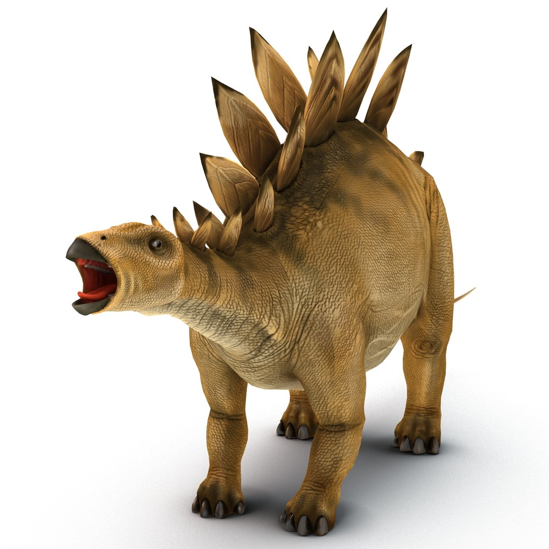 Stegosaurus Rigged 3d Model