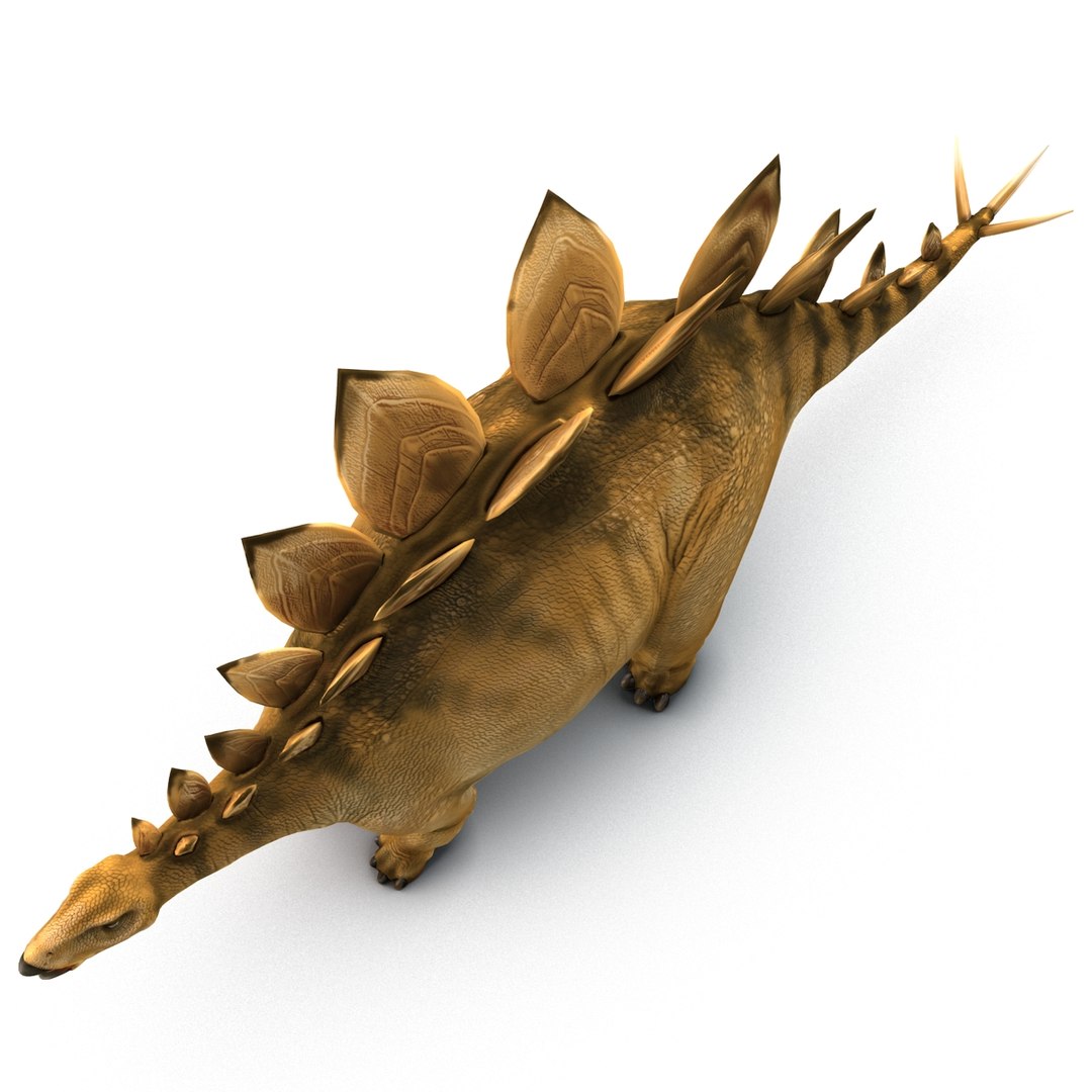 Stegosaurus Rigged 3d Model