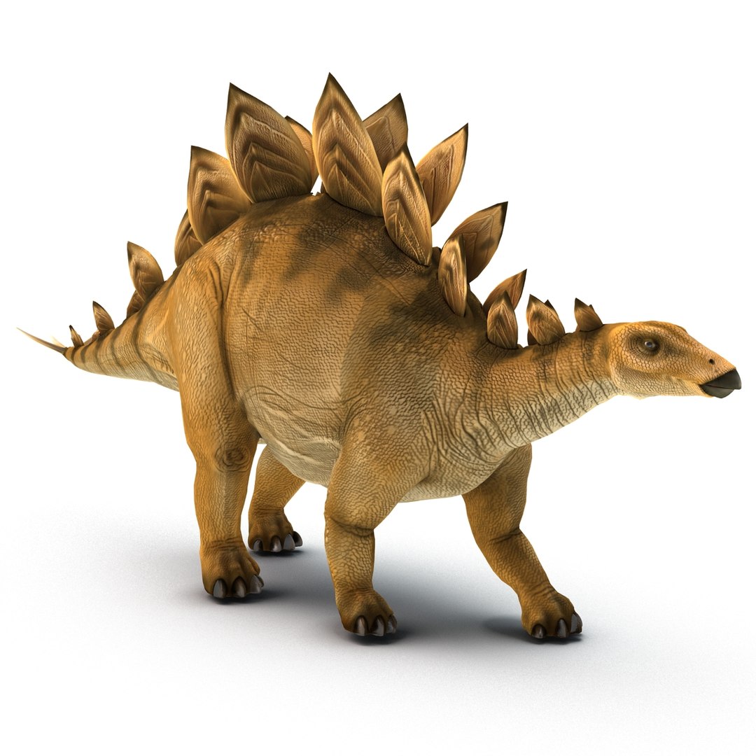 stegosaurus rigged 3d model https://p.turbosquid.com/ts-thumb/O4/ZyOKof/yutMRo5g/stegosaurusrigged_392/jpg/1407185199/1920x1080/fit_q87/fb4f024aae7a428b11e62411af982545133cfa93/stegosaurusrigged_392.jpg