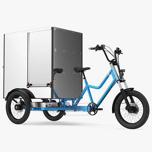 Commercial Grade Electric Trike with Cargo Box