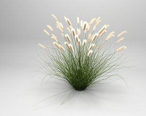 3D bushes - cream