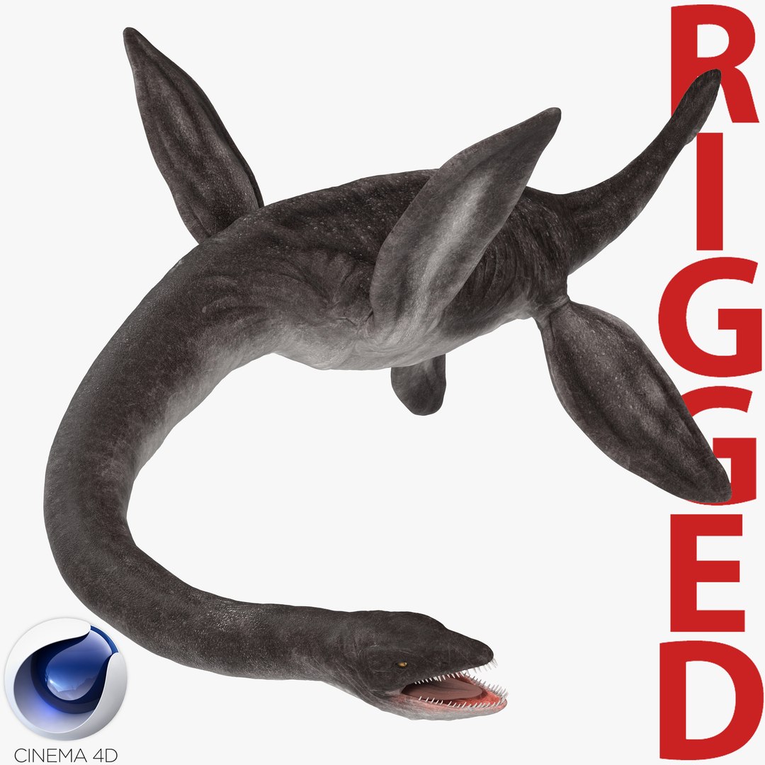 Plesiosauria Marine Reptile Dinosaur Rigged for Cinema 4D 3D model preview