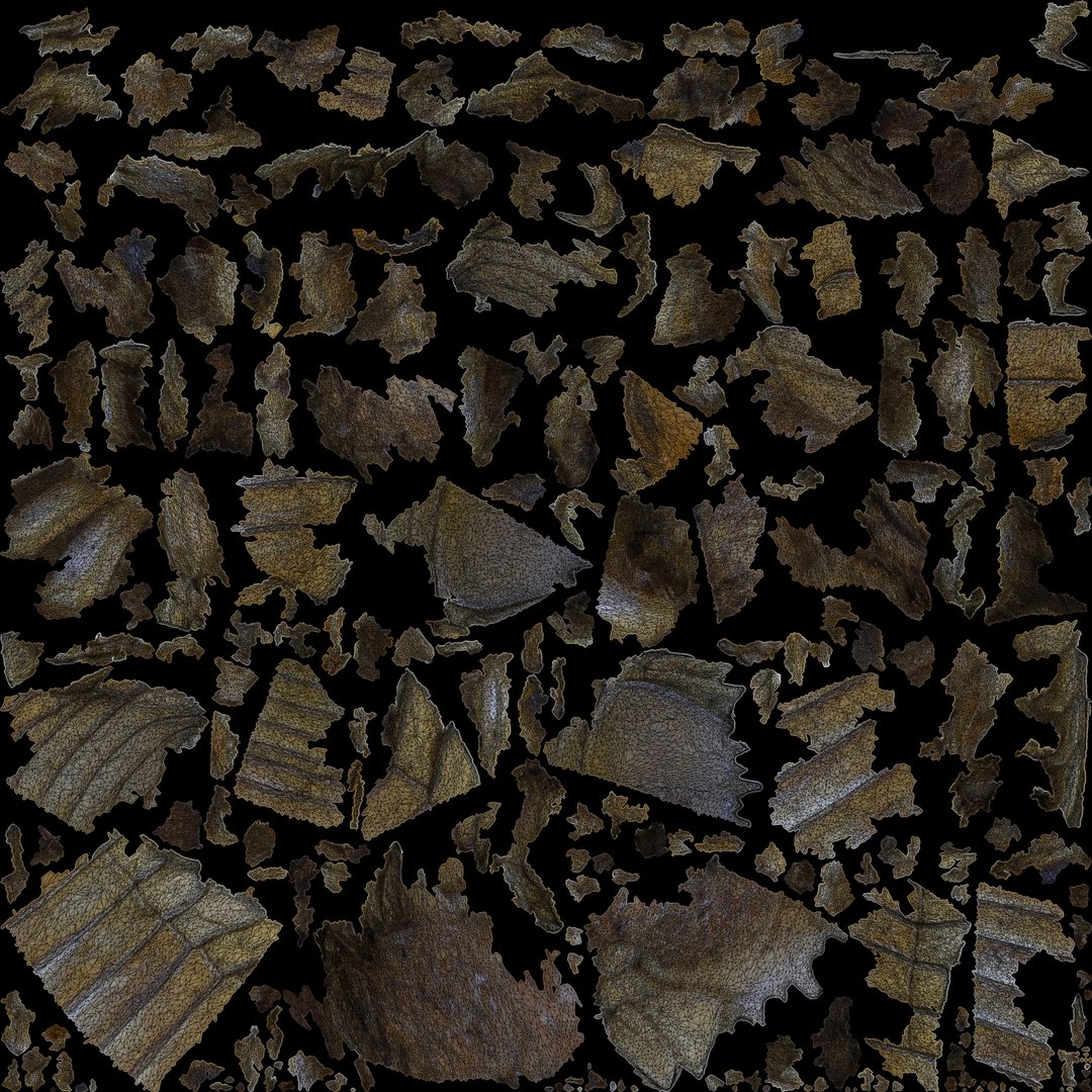 3d isopod scan