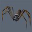 3d model spider arachnid