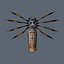 3d model spider arachnid