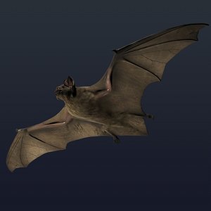3d model vampire bat