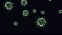 Microscopic Bacteria