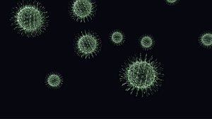 Microscopic Bacteria
