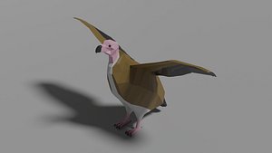 3D animal bird nature