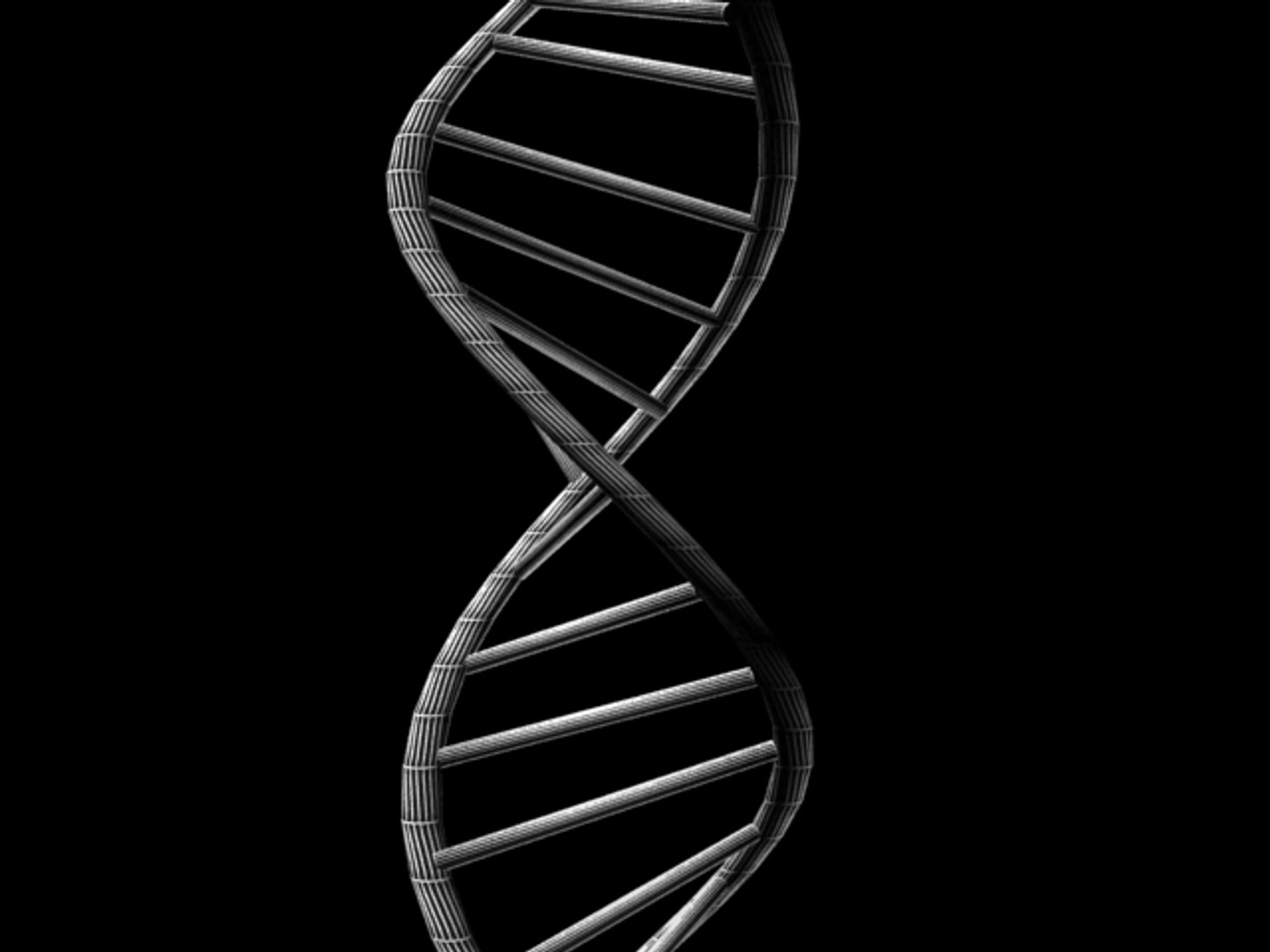 Dna 3. Модель ДНК. ДНК 3д модель. DNA 3d model. 3д модель ДНК тетрамер.