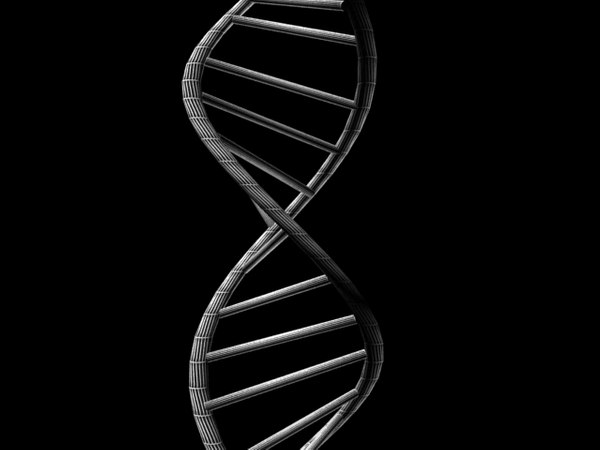 Free dna 3D model - TurboSquid 1497359