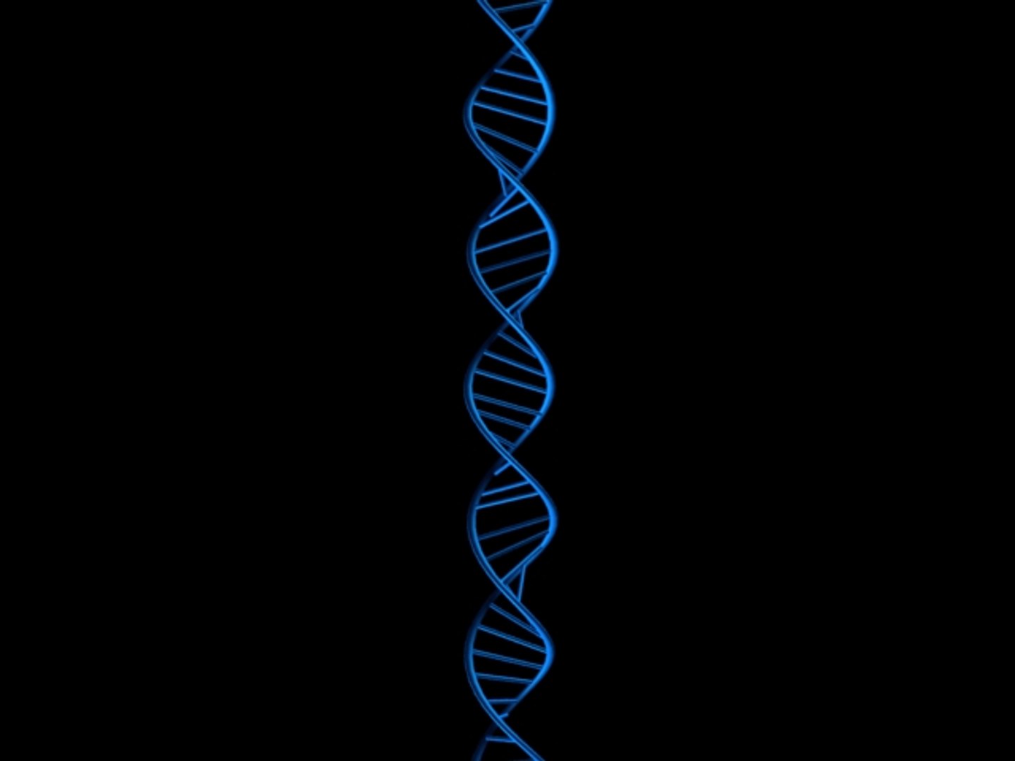 dna 3D model https://p.turbosquid.com/ts-thumb/O5/8wsYoW/RVuCKI4Y/dna2/jpg/1579455941/1920x1080/fit_q87/779a12dbe62948ade876be6ef428a4d366b440c6/dna2.jpg